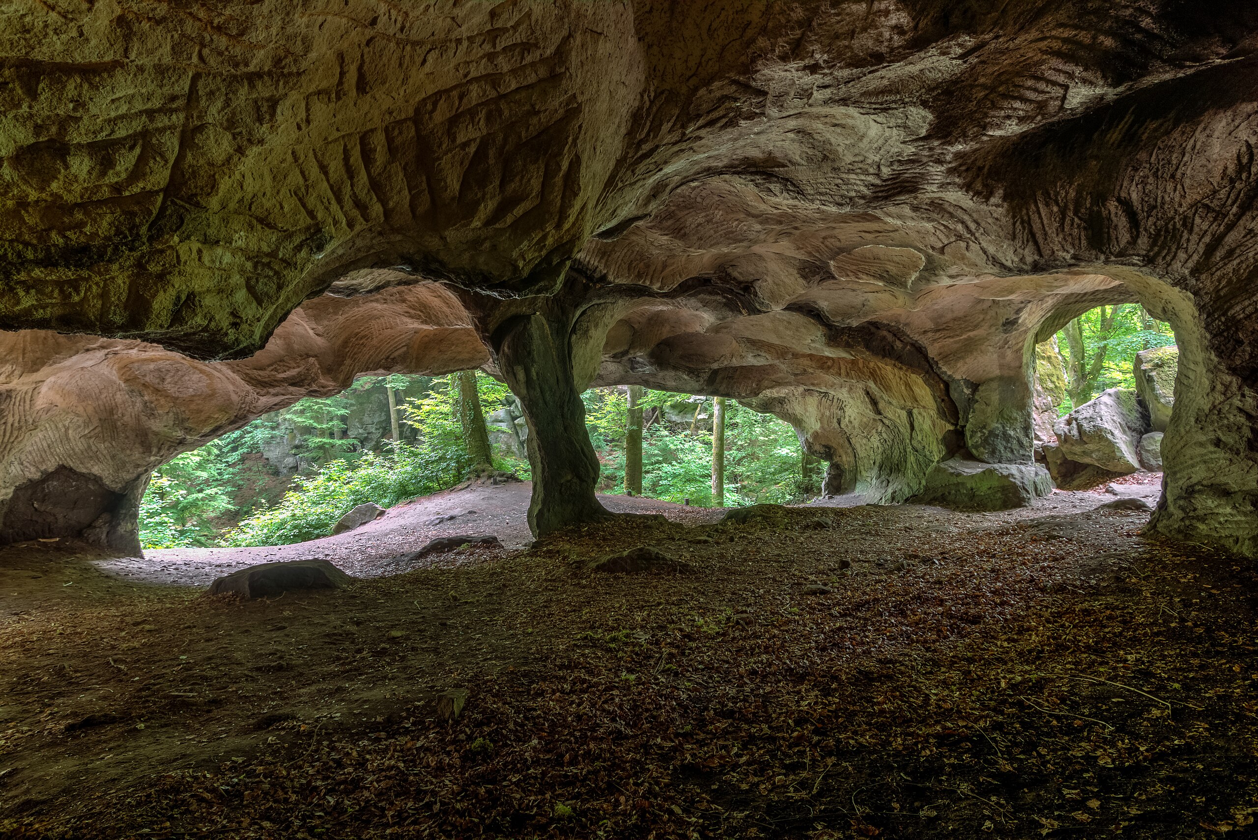 View from inside a Hollay (hollow rock) out into a forest